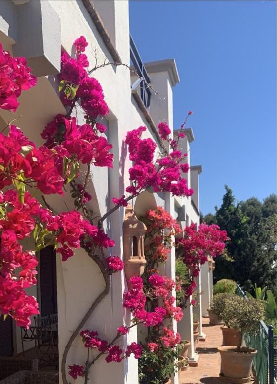Boutique Hotel Maravilla - Marbella Benahavís Exteriör bild