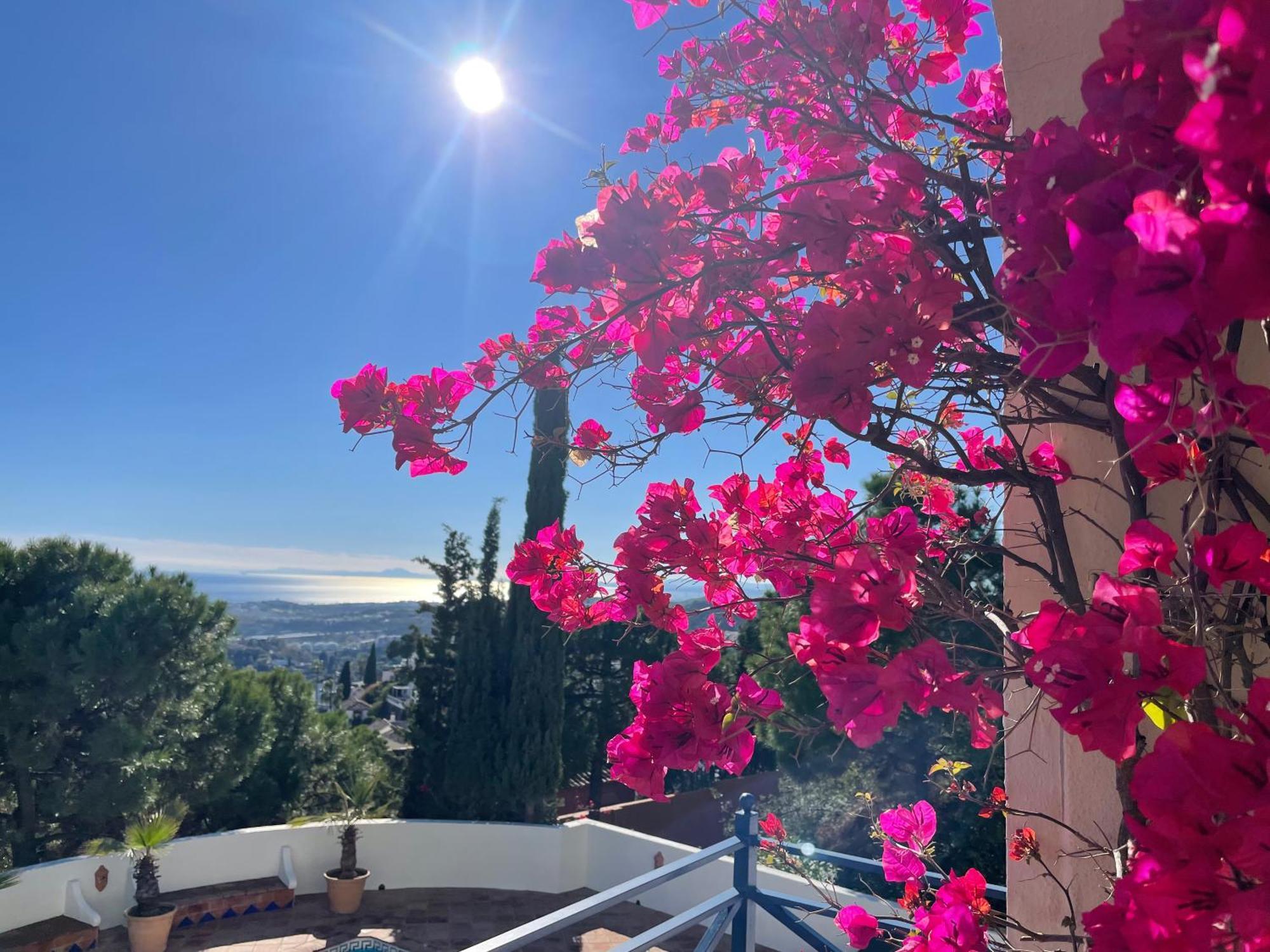 Boutique Hotel Maravilla - Marbella Benahavís Exteriör bild