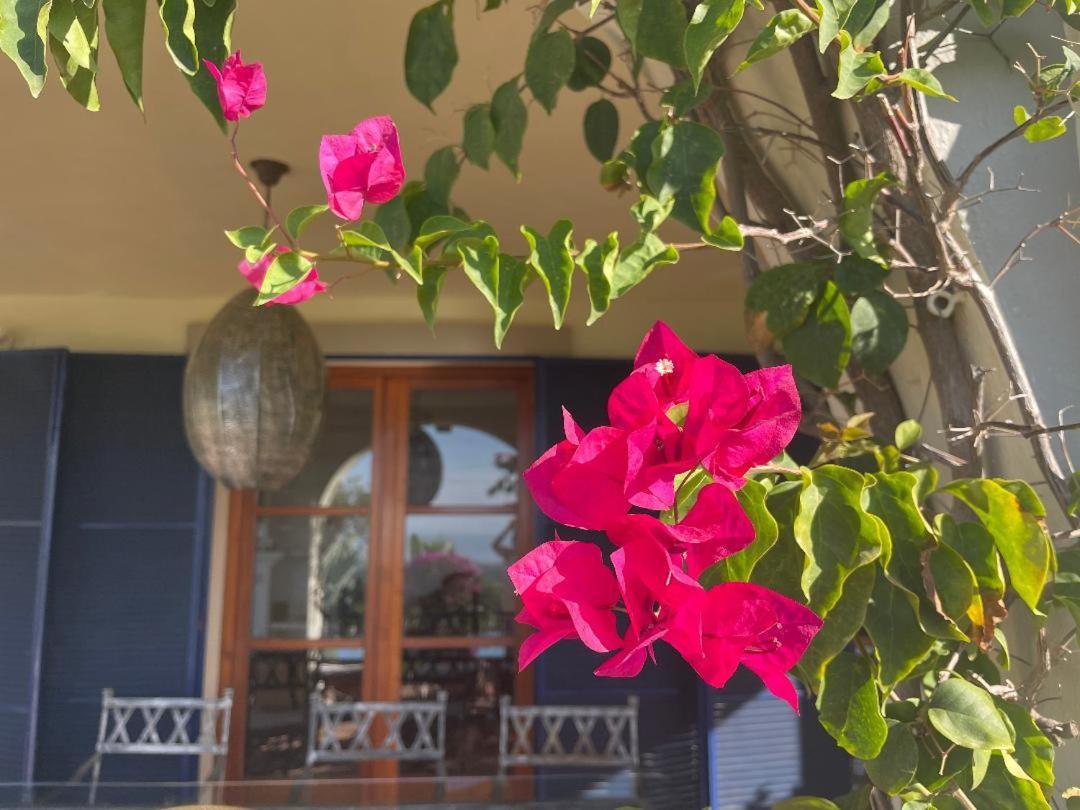 Boutique Hotel Maravilla - Marbella Benahavís Exteriör bild
